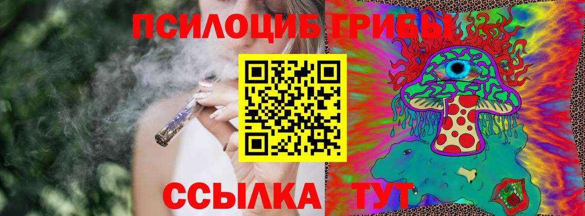 Псилоцибиновые грибы мицелий  Псилоцибиновые грибы мицелий  Вход с VPN  Балашов 